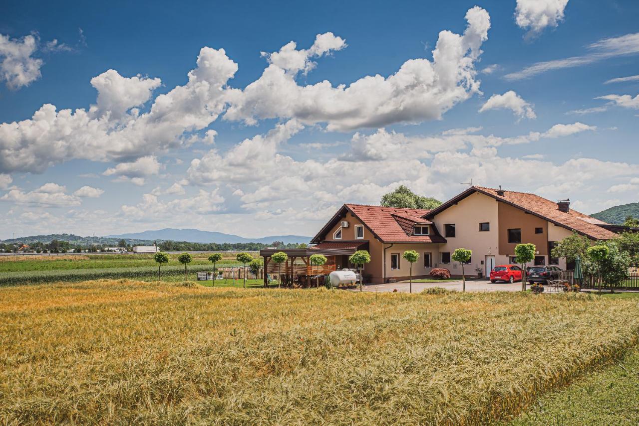 Apartment Lux Living Budic Near Terme Catez Brezice