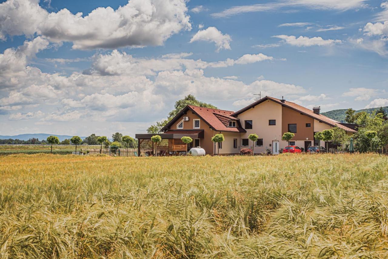 Apartment Lux Living Budic Near Terme Catez