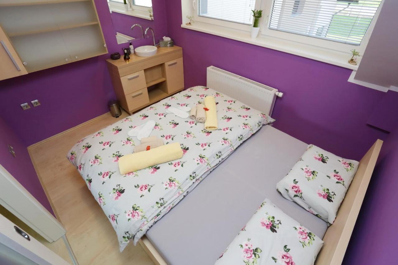 Lux Living Budic Near Terme Catez Apartment