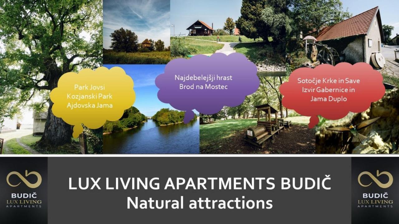 Apartment Lux Living Budic Near Terme Catez