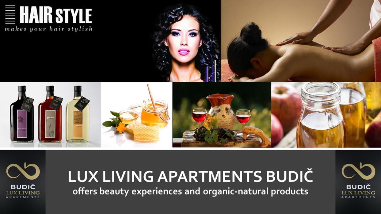 Lux Living Budic Near Terme Catez Apartment